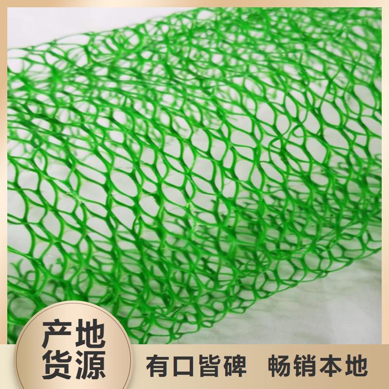 三维植被网土工格栅诚信厂家