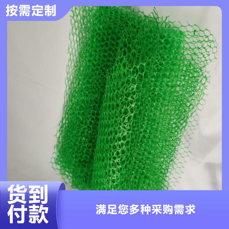 三维植被网土工布一件也发货