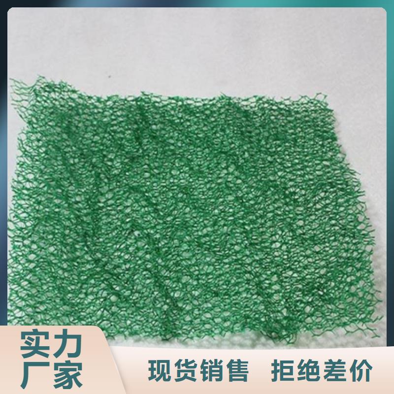 三维植被网土工布一件也发货