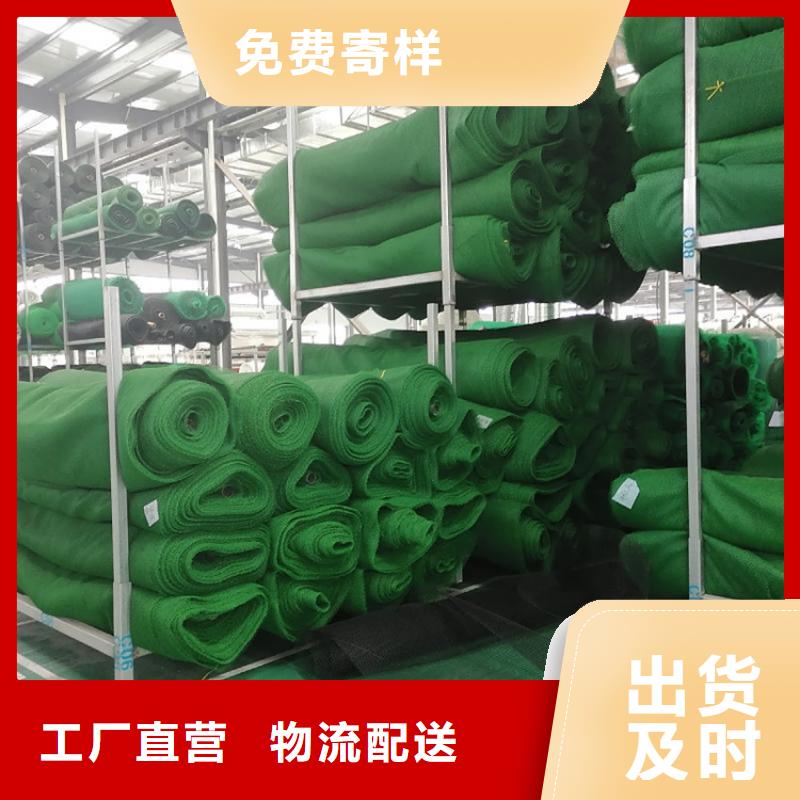 三维植被网土工格栅诚信厂家