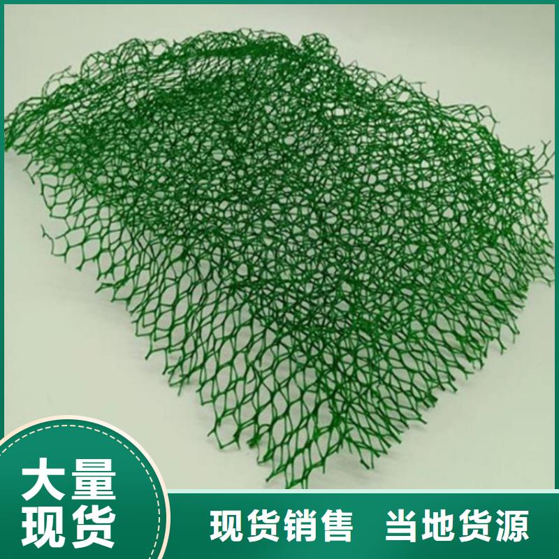 三维植被网土工布一件也发货