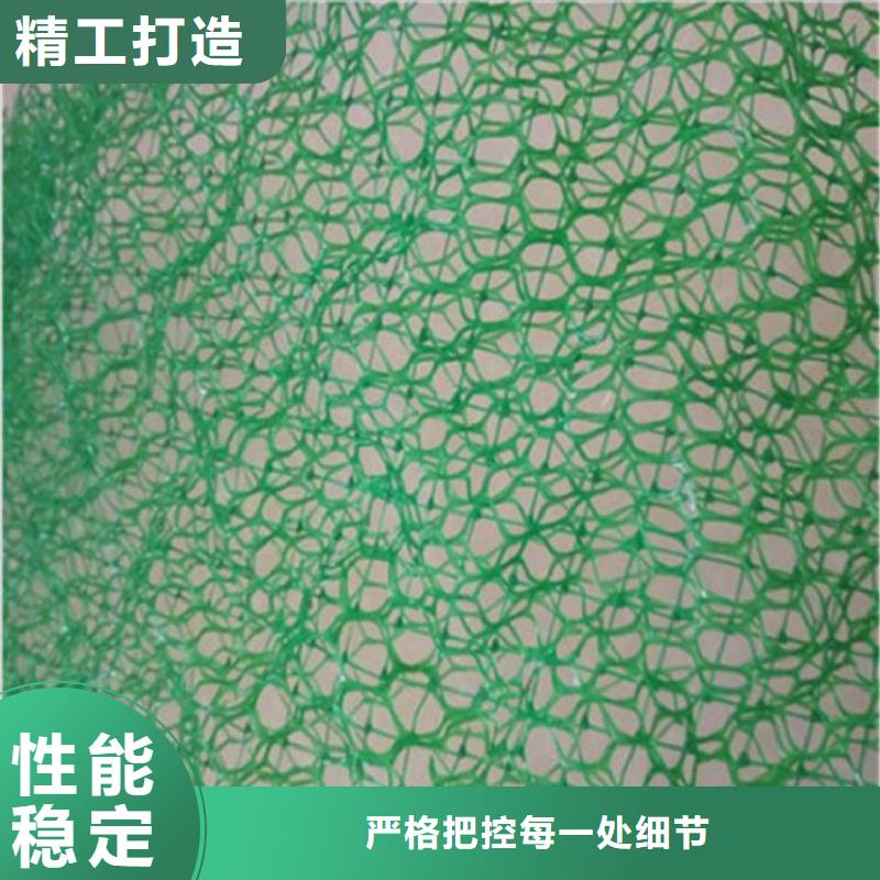 三维植被网防水板我们更专业