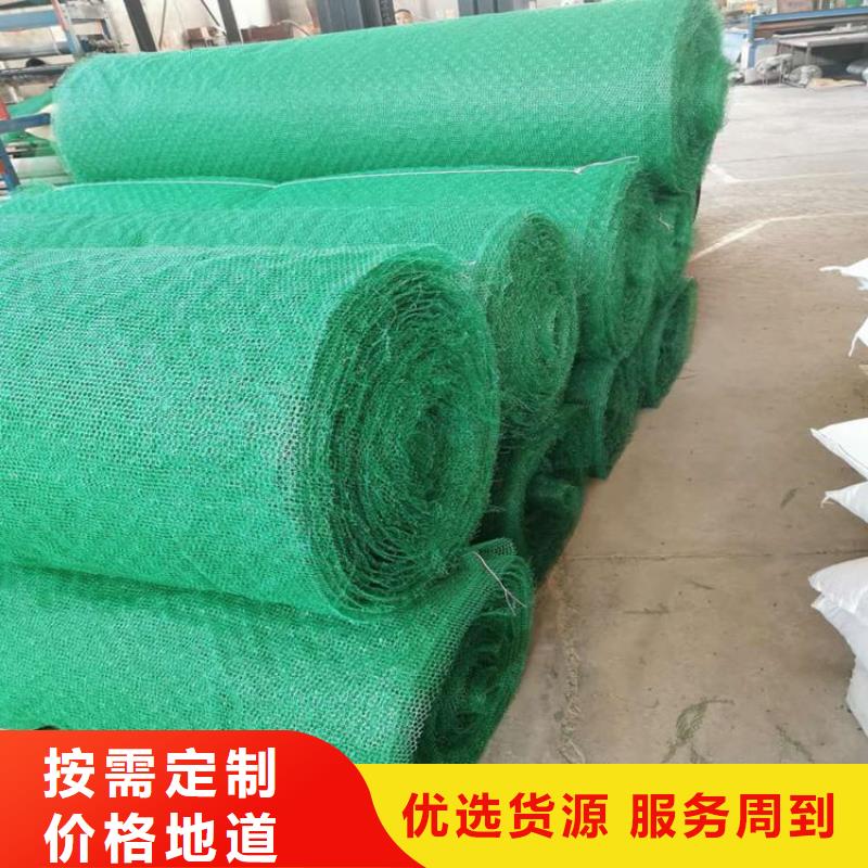 三维植被网土工格栅诚信厂家