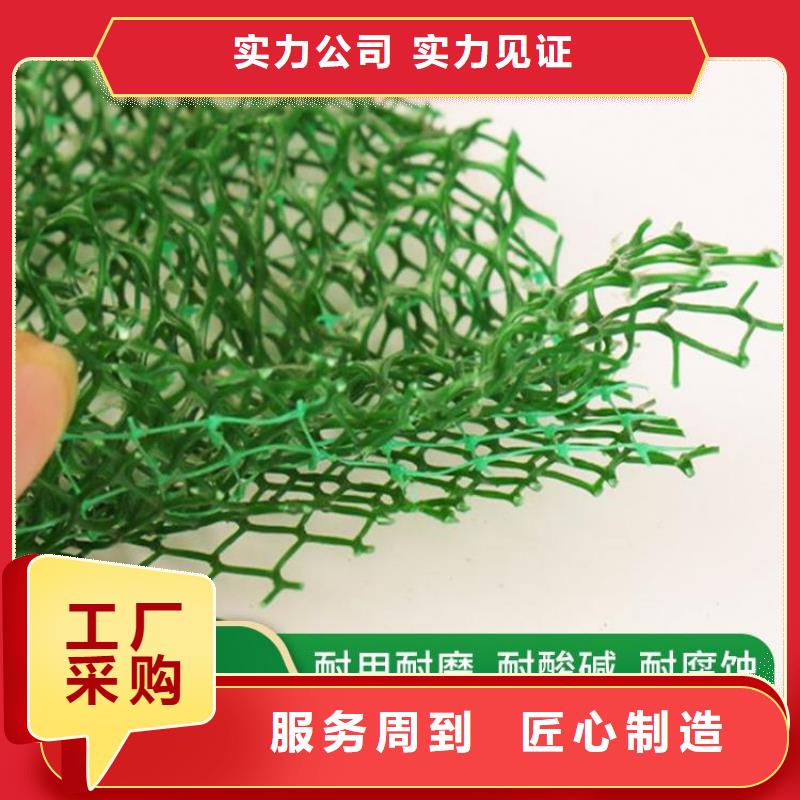 三维植被网防水板我们更专业