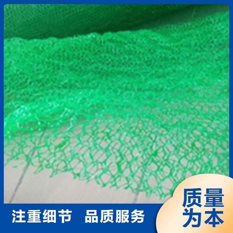 三维植被网土工布一件也发货