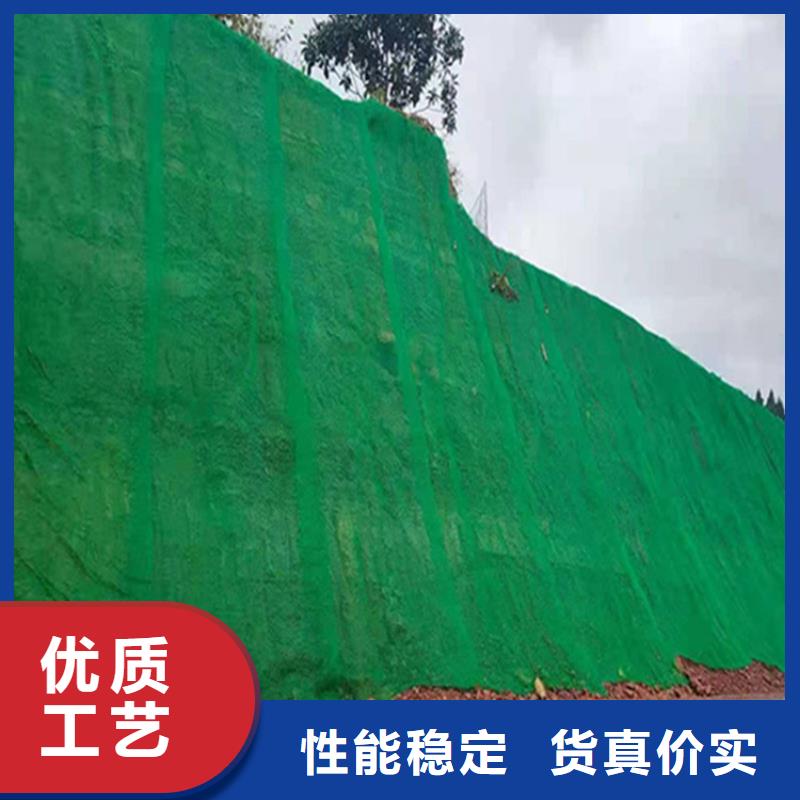三维植被网防水板我们更专业