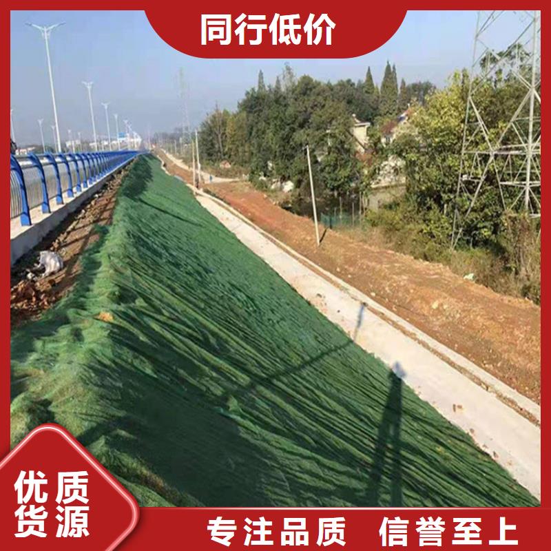 三维植被网防水板我们更专业