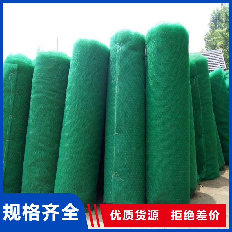 三维植被网土工膜质保一年