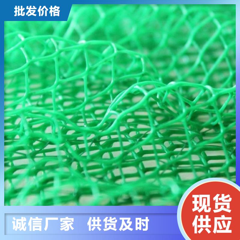三维植被网防水板我们更专业