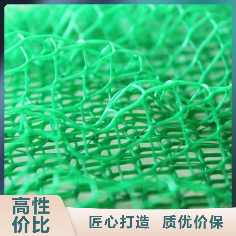 【三维植被网】机织布快捷物流