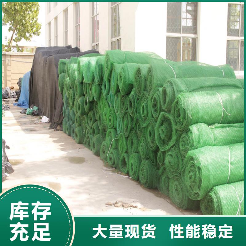 平顶山 三维植被网排水板供货及时