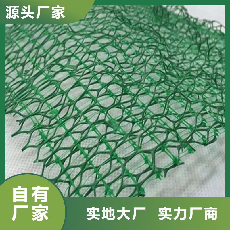 平顶山 三维植被网排水板供货及时