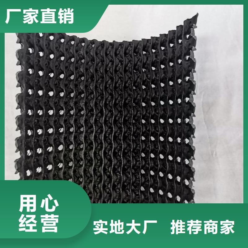【硬式透水管植草格优质工艺】
