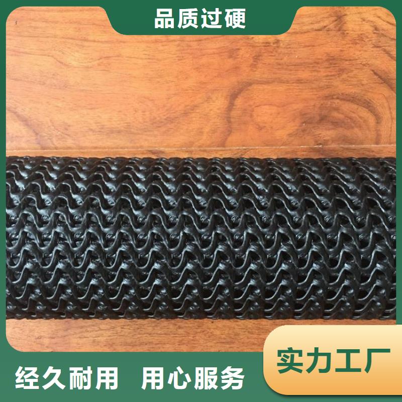 硬式透水管HDPE土工膜一站式厂家