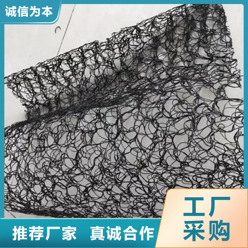 通风降噪丝网土工格栅专注生产N年