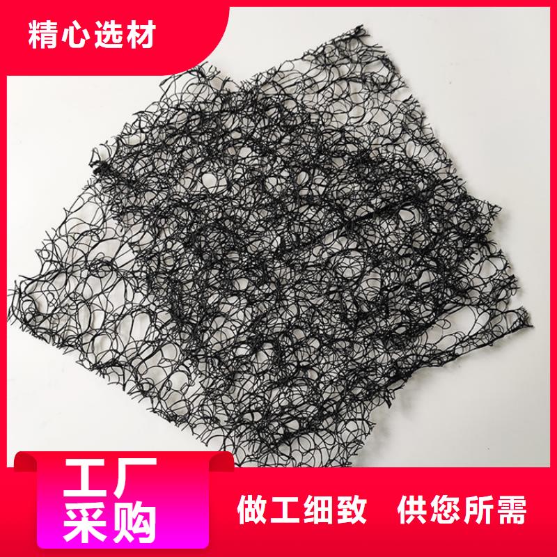 通风降噪丝网土工格栅行业优选