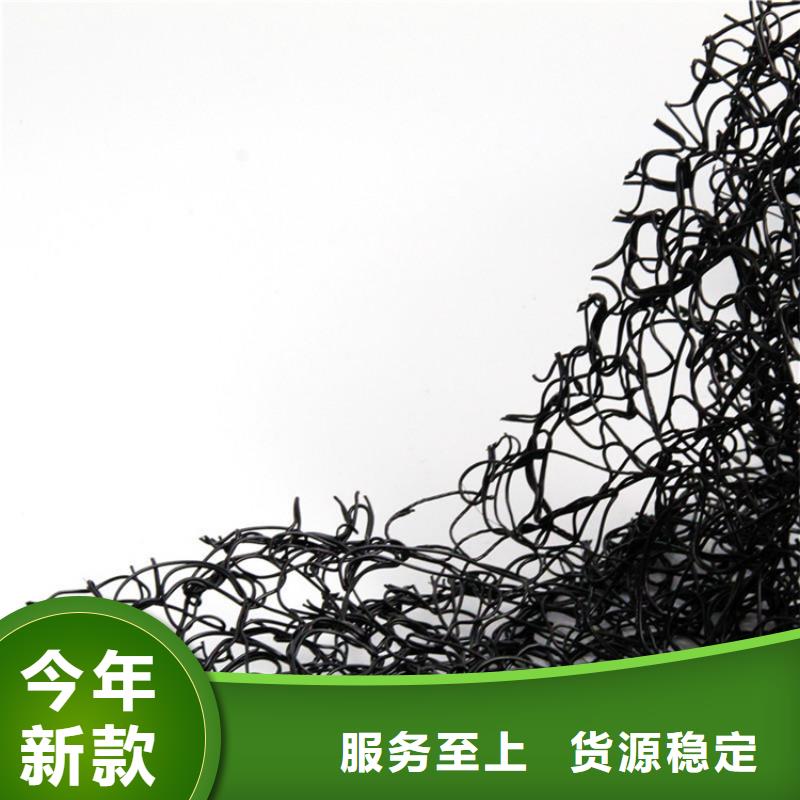通风降噪丝网土工格栅专注生产N年
