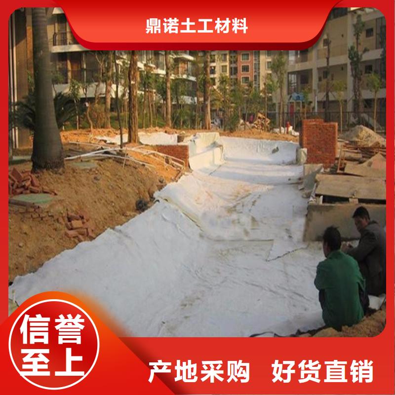 【膨润土防水毯】-防水板现货直供