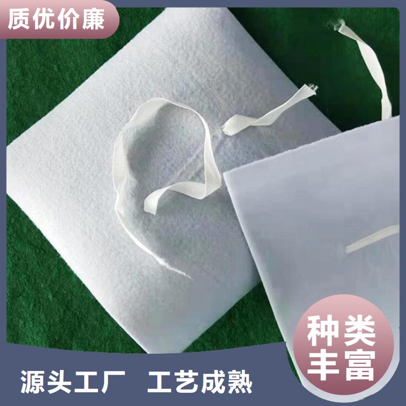 防水板网格布实体诚信厂家