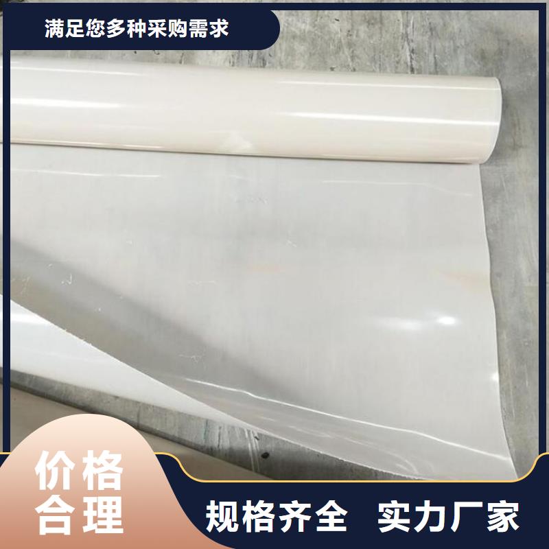 防水板网格布实体诚信厂家