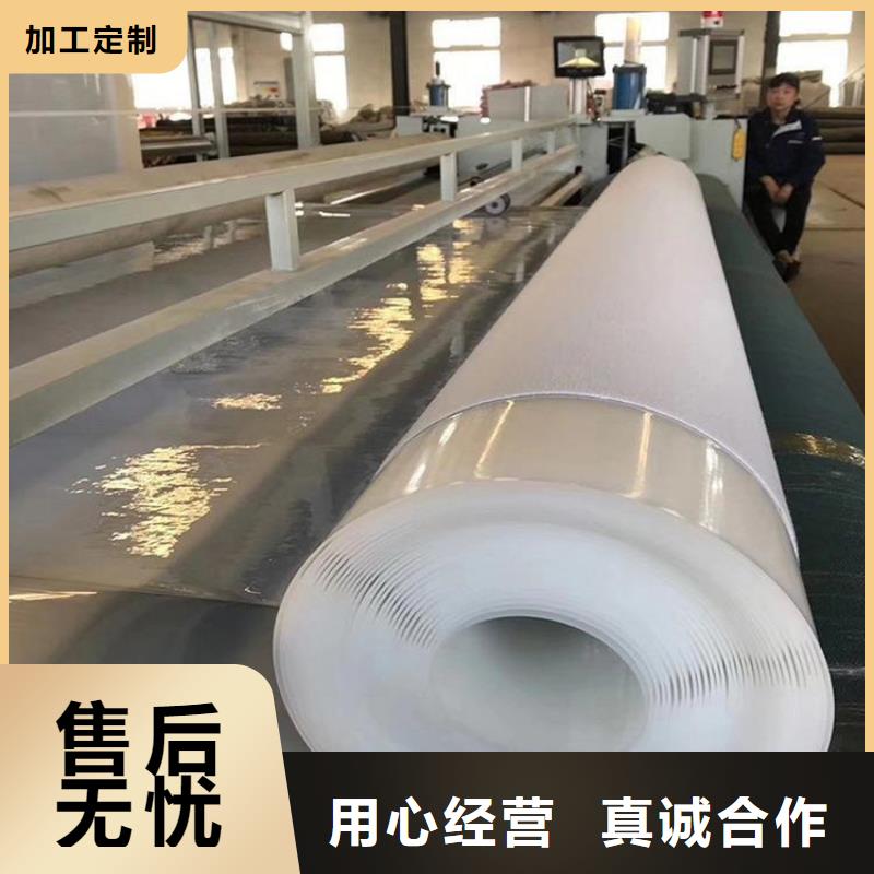 防水板钢塑格栅值得买