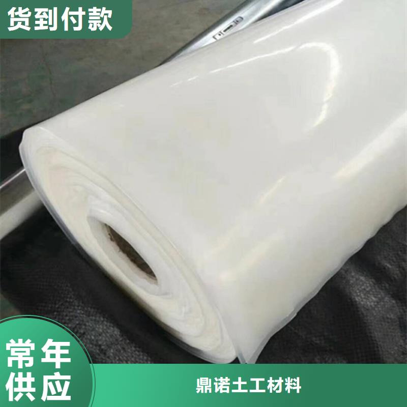 防水板网格布实体诚信厂家