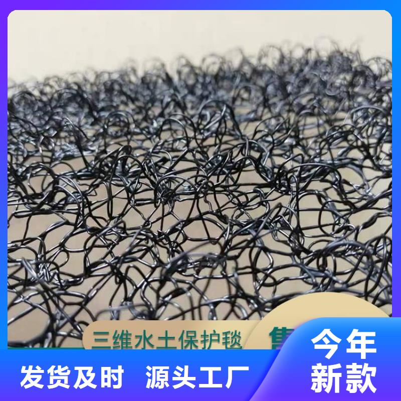 水土保护毯HDPE土工膜品质保障售后无忧
