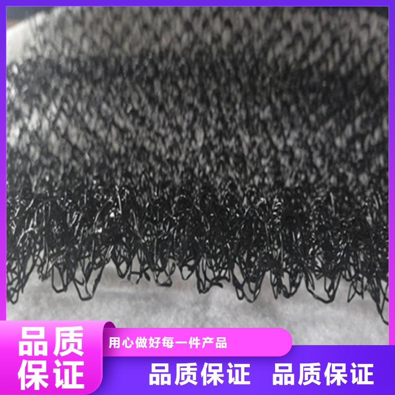 【水土保护毯】双向塑料土工格栅厂家精选