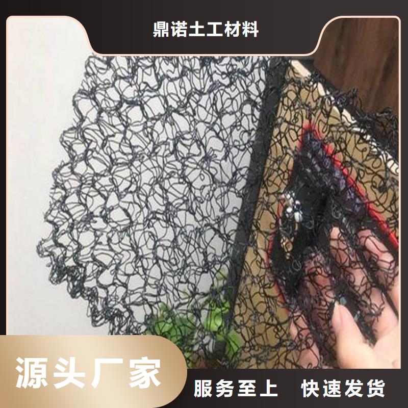 【水土保护毯】双向塑料土工格栅厂家精选