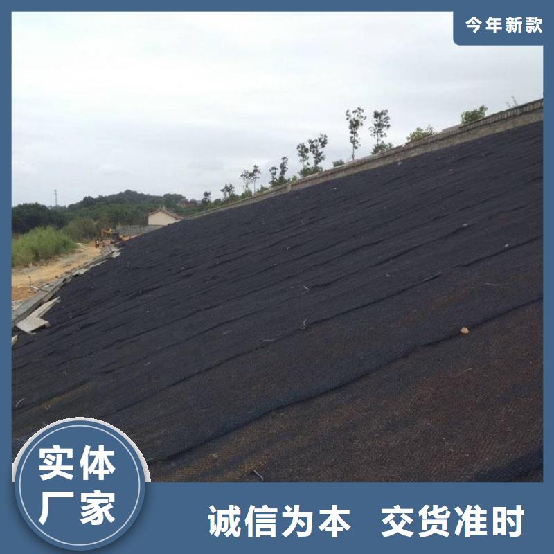 【水土保护毯】土工膜品牌企业