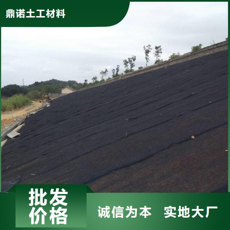 水土保护毯塑料土工格栅拒绝中间商