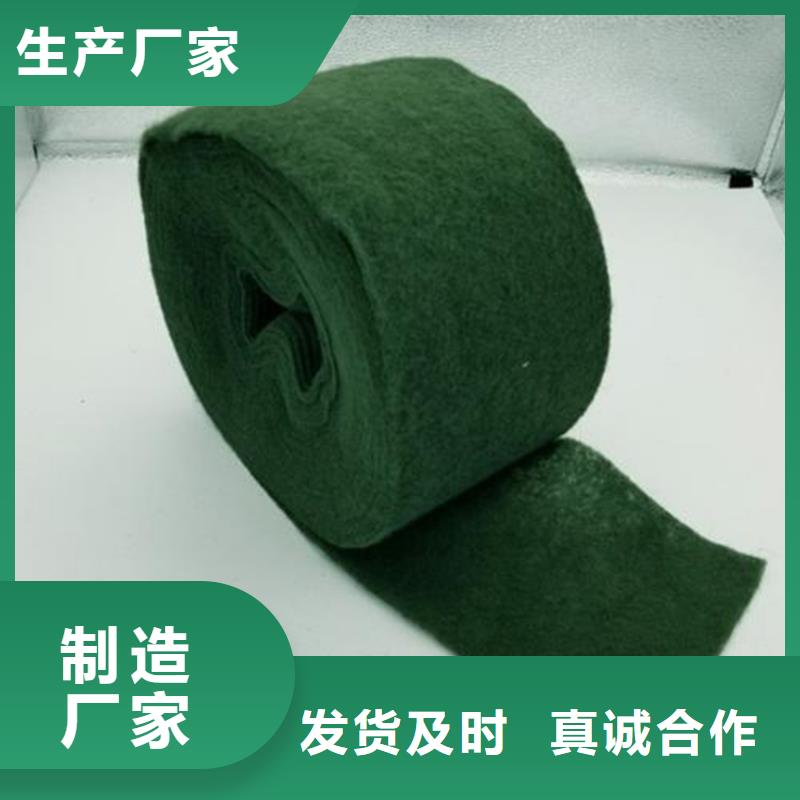 裹树布土工布厂家实力大