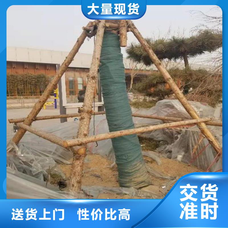 裹树布土工网垫现货充裕
