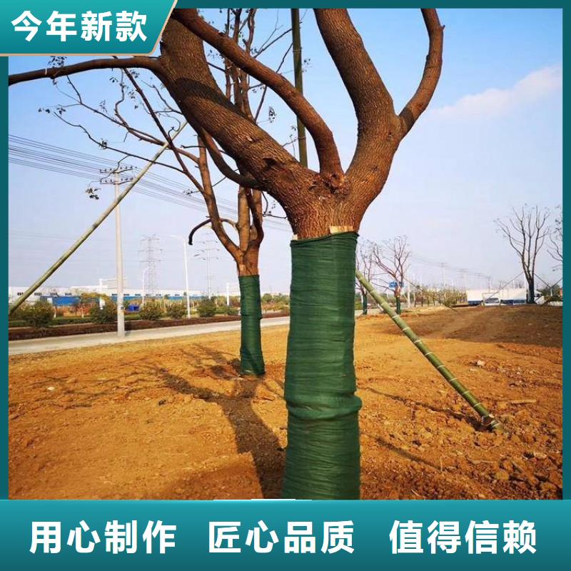 裹树布土工布厂家实力大
