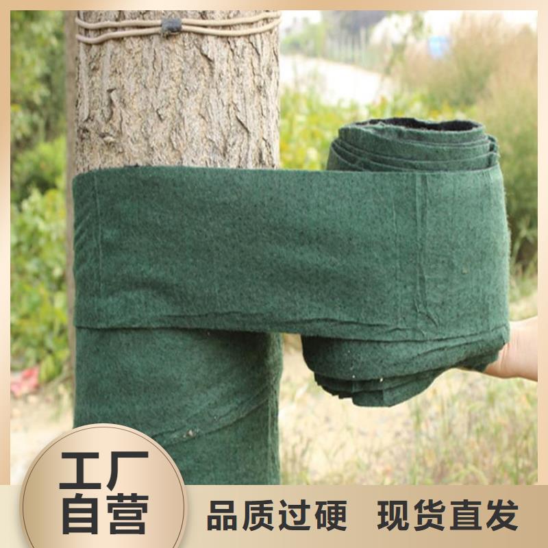 裹树布HDPE土工膜源头厂家