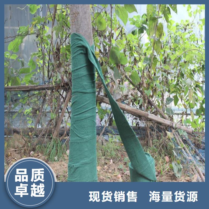 【裹树布抗裂贴今日价格】