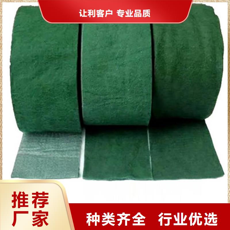 裹树布土工布厂家实力大