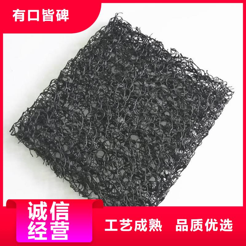 土工席垫塑料盲沟源头厂家直销