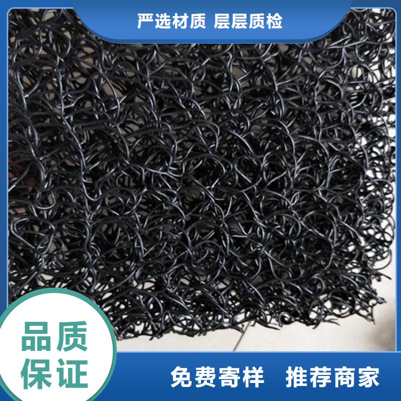 土工席垫双向塑料土工格栅实体诚信经营