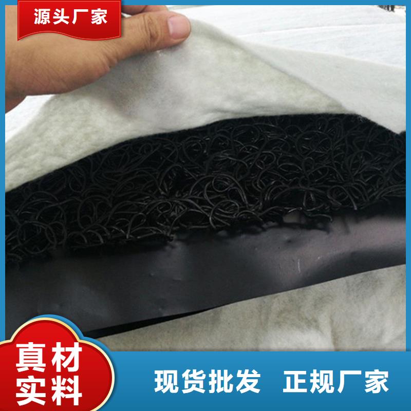 土工席垫蓄水板实力厂家
