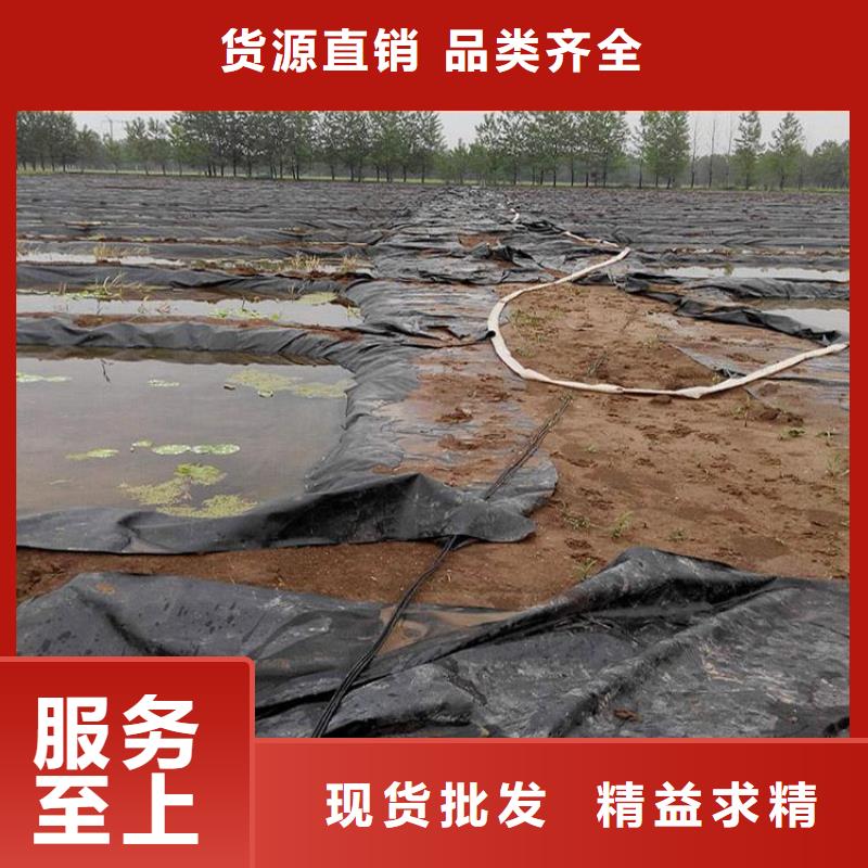 土工膜,软式透水管快速物流发货