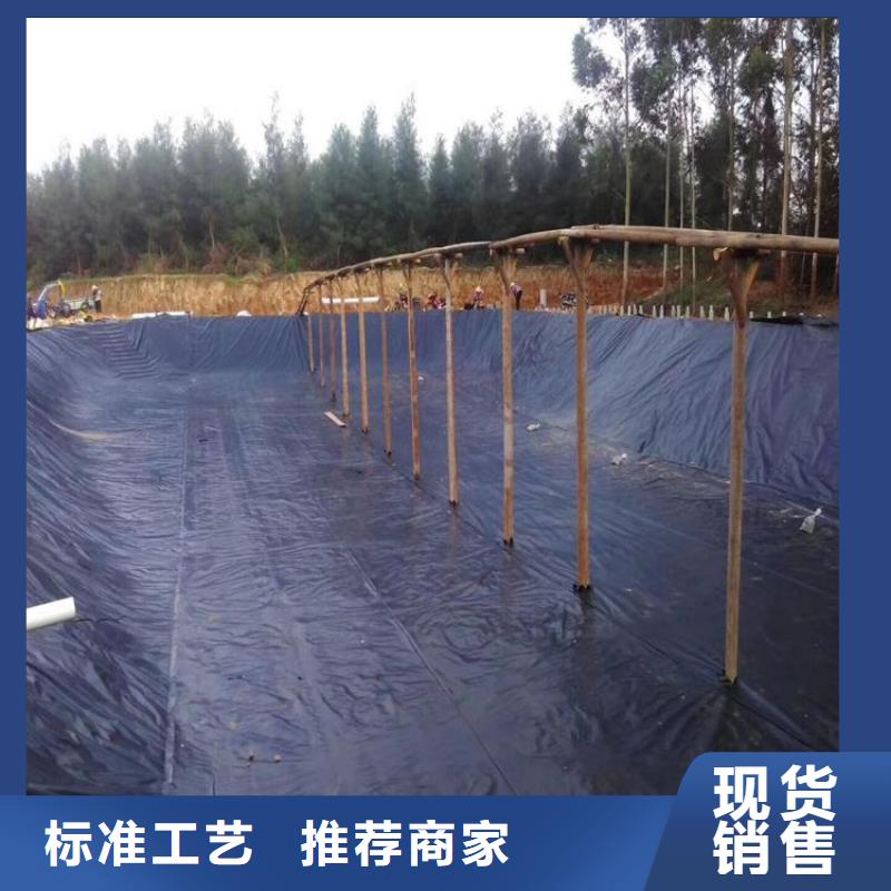 土工膜钢塑格栅优质工艺