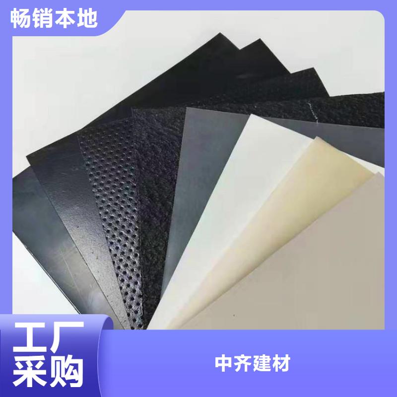 土工膜【拉筋带】品质保证实力见证