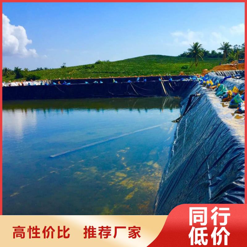 土工膜【拉筋带】品质保证实力见证