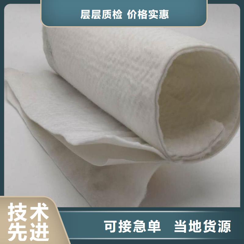 土工布钢塑土工格栅自有厂家