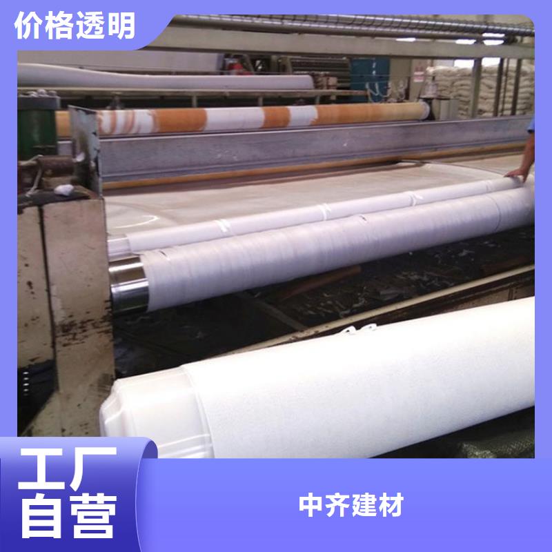 【土工布双向塑料土工格栅一站式采购方便省心】