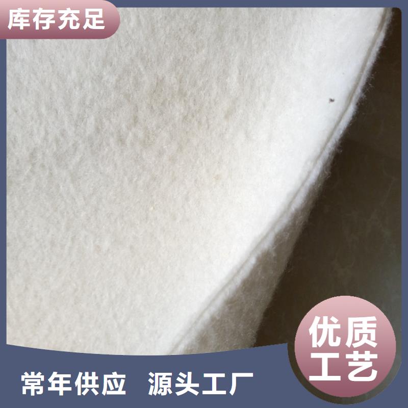 土工布钢塑土工格栅自有厂家
