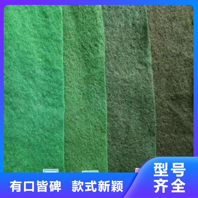 土工布土工格栅种类多质量好