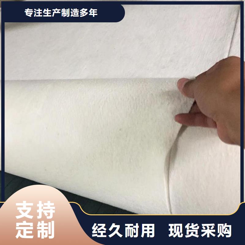 土工布钢塑土工格栅自有厂家