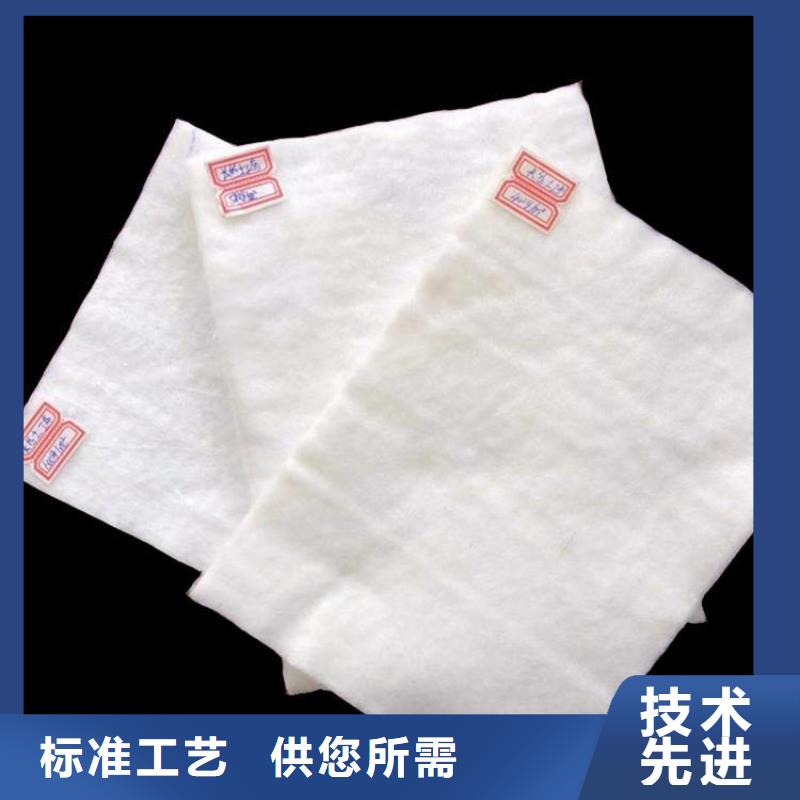 土工布钢塑土工格栅自有厂家